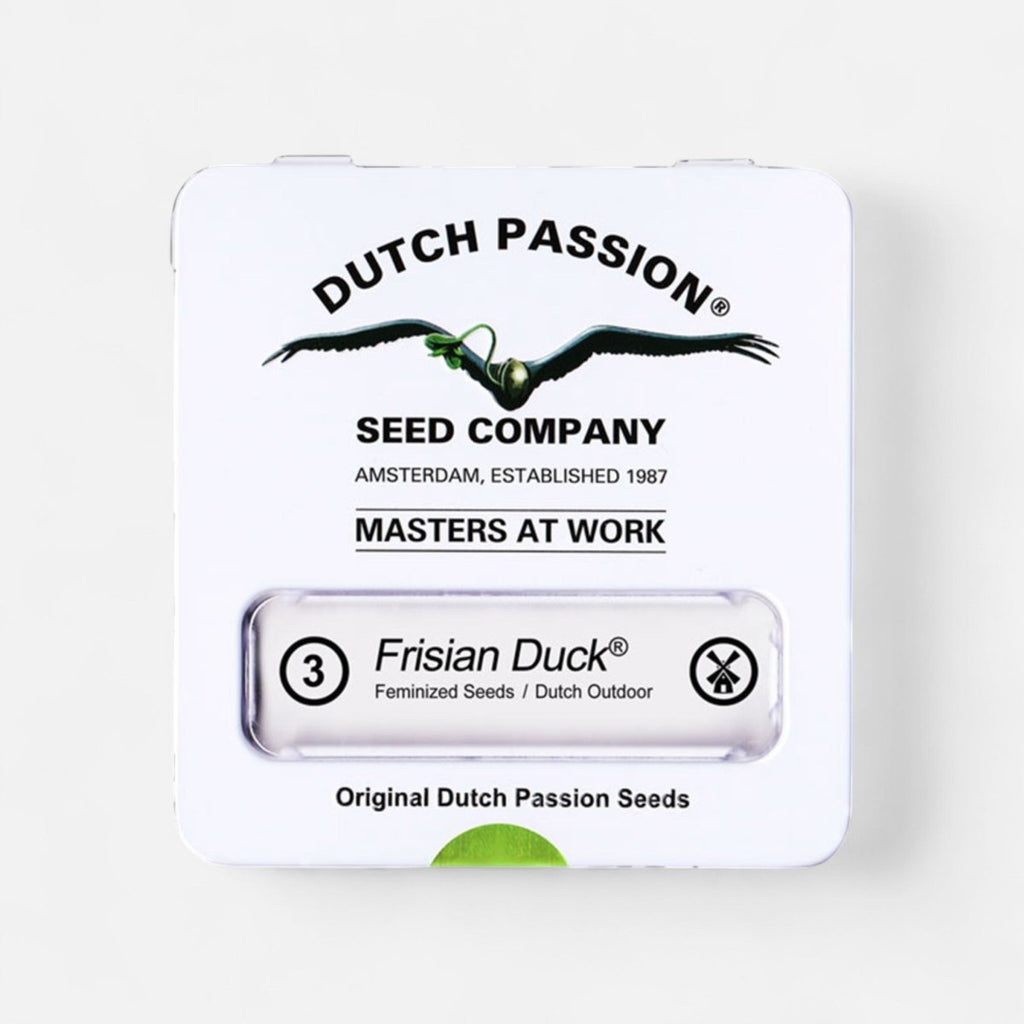 Frisian Duck | Feminisiert - Cannabissamen - Hanfify®