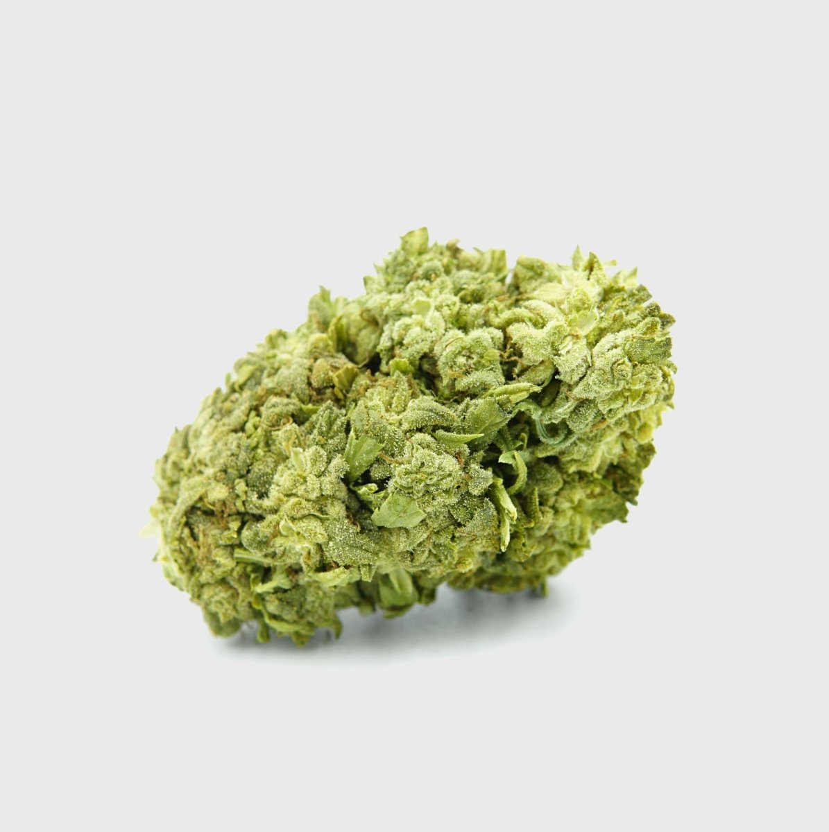 🧊🍪 Frosted Cookies 55% Superior Blüten 5g - Hanfify®