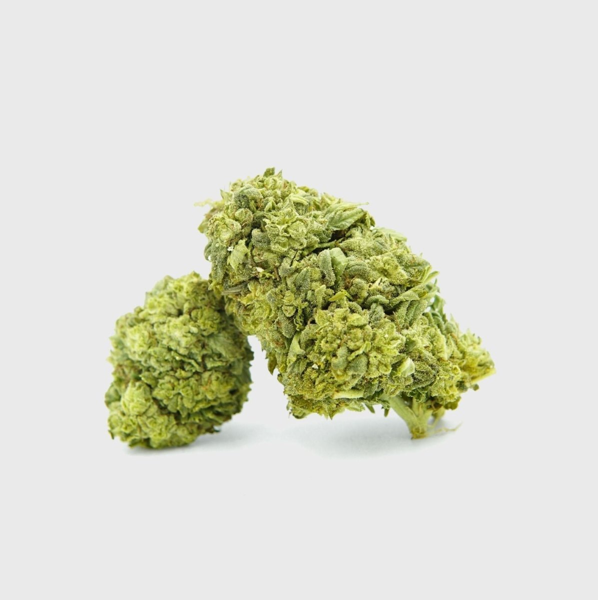 🧊🍪 Frosted Cookies 55% Superior - Blüten - Hanfify®