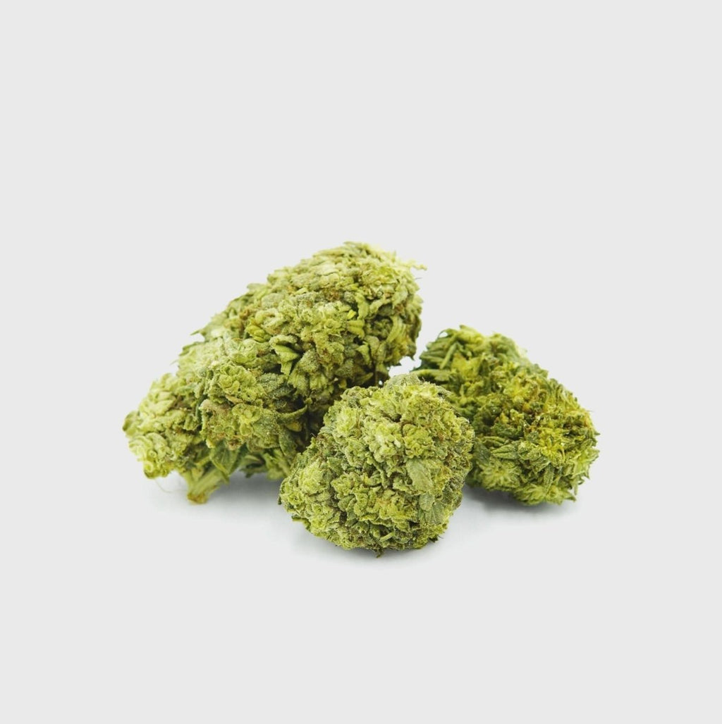 🧊🍪 Frosted Cookies 55% Superior - Blüten - Hanfify®