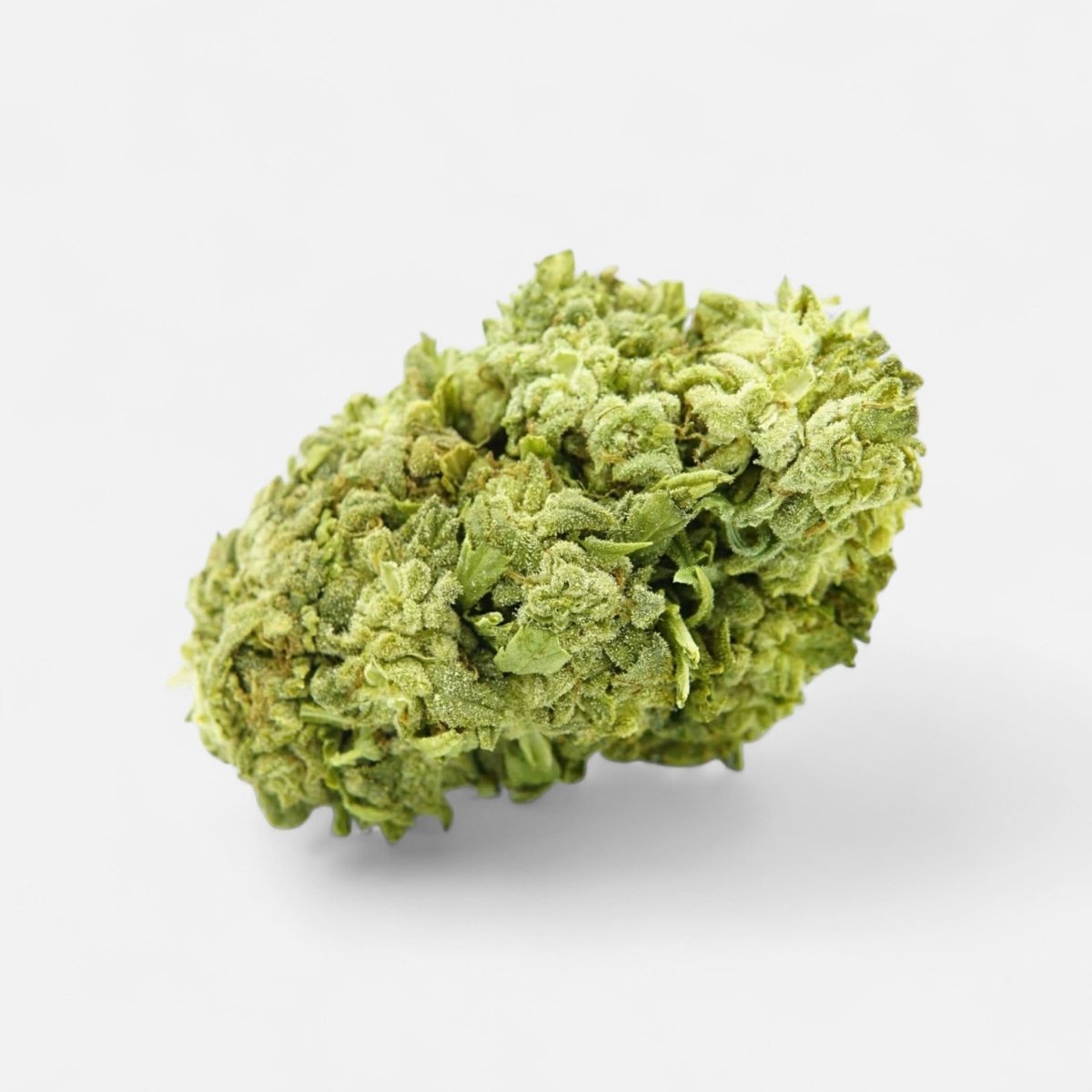 🧊🍪 Frosted Cookies 55% Superior - Blüten - Hanfify®