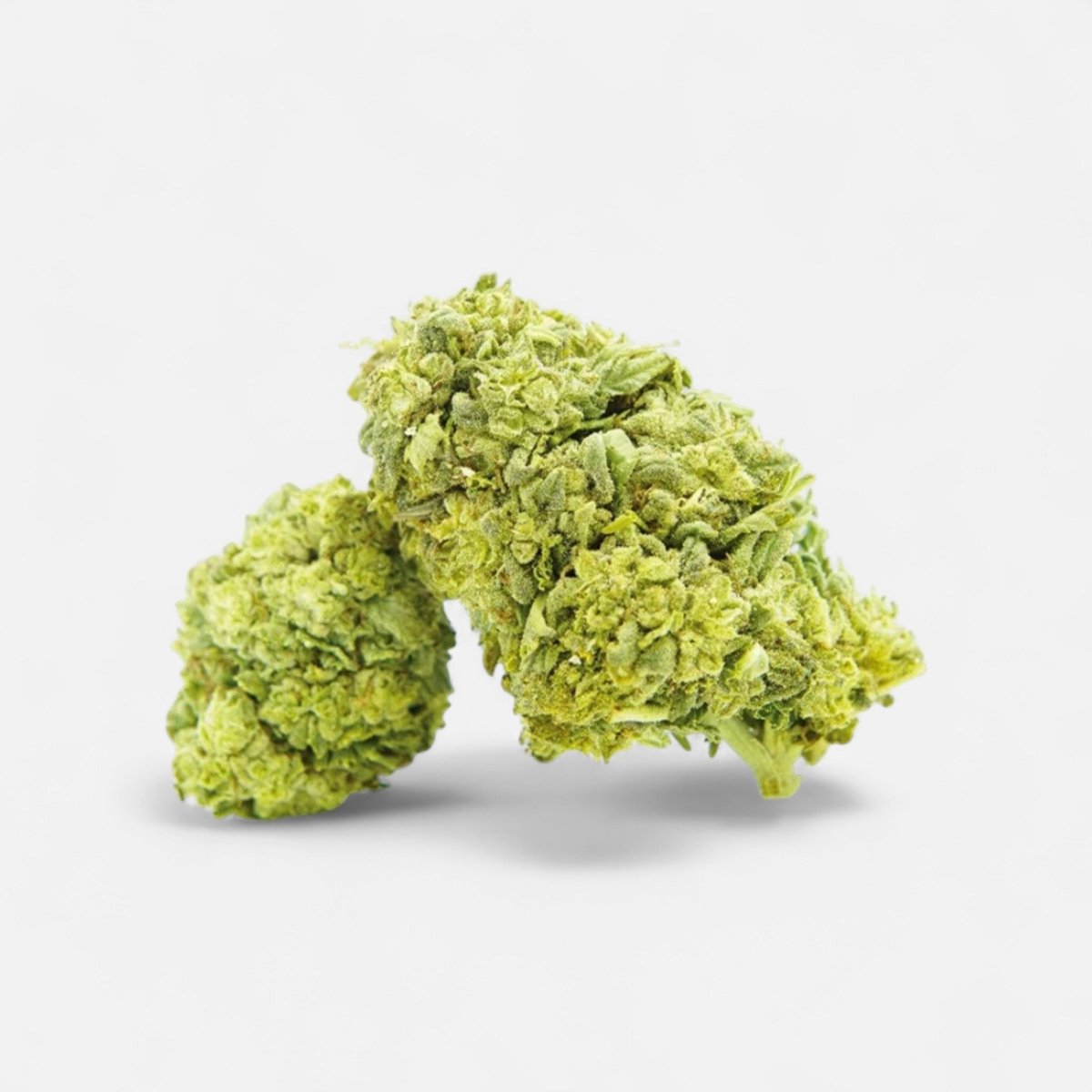 Frosted Cookies - Superior Blüte 55% Blüten - Hanfify