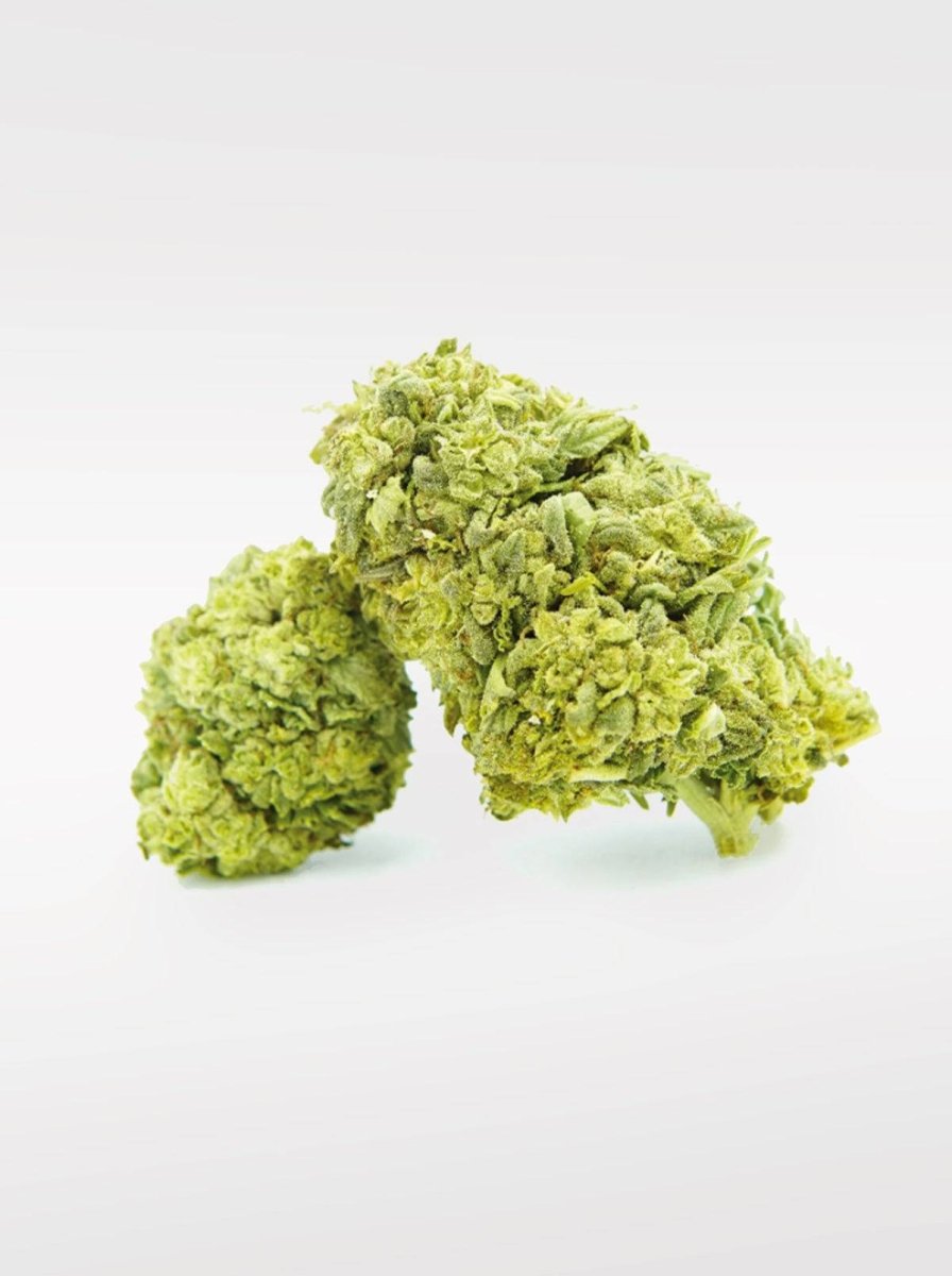 Frosted Cookies - Superior Blüte 55% Blüten - Hanfify