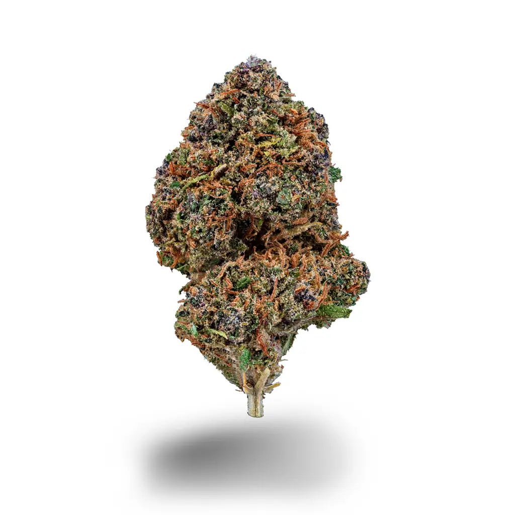 Frozen Vanilla Blüten 2,5g - Hanfify