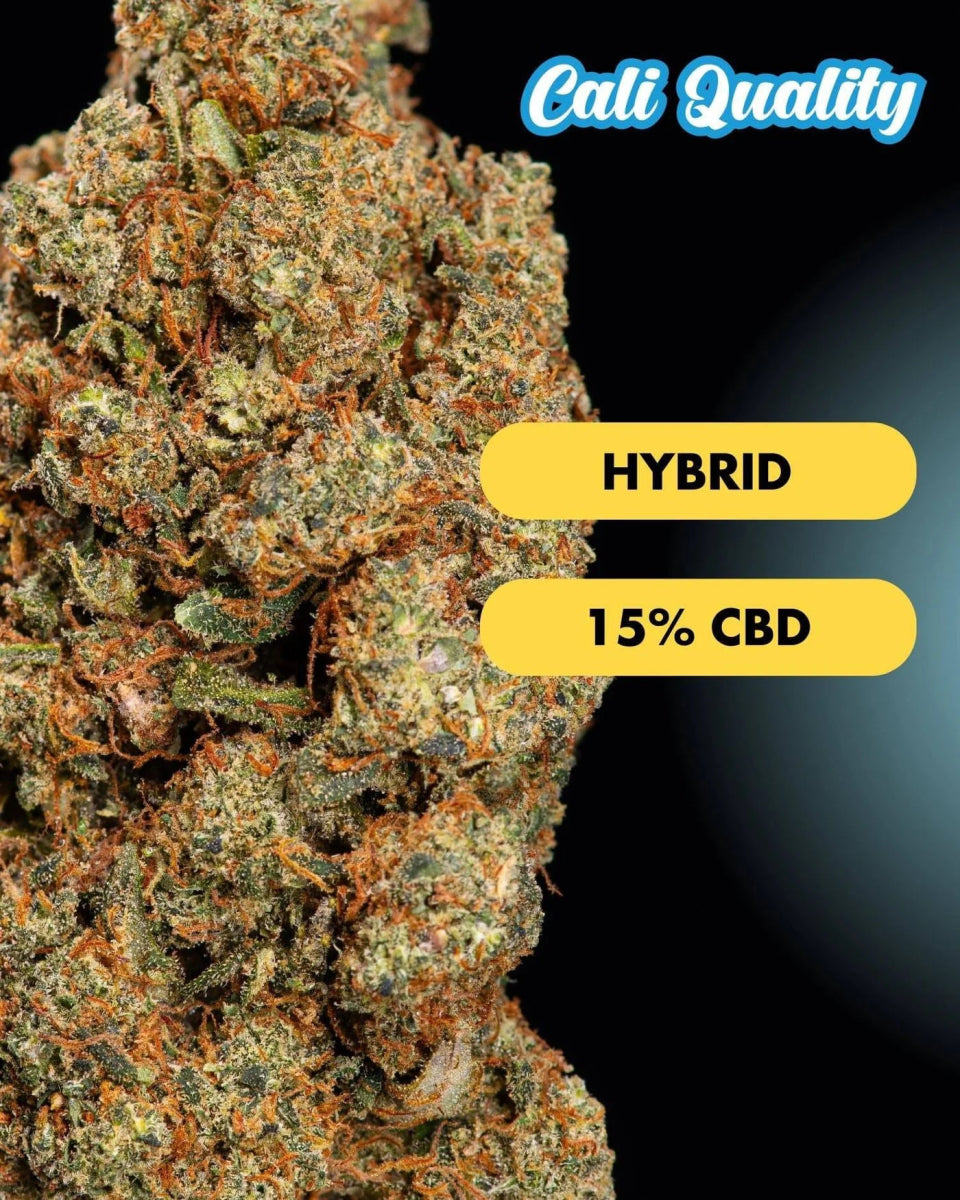 Fruit Storm - CBD Blüte 15% Blüten - Hanfify