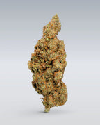 Fruit Storm - CBD Blüte 15% Blüten - Hanfify