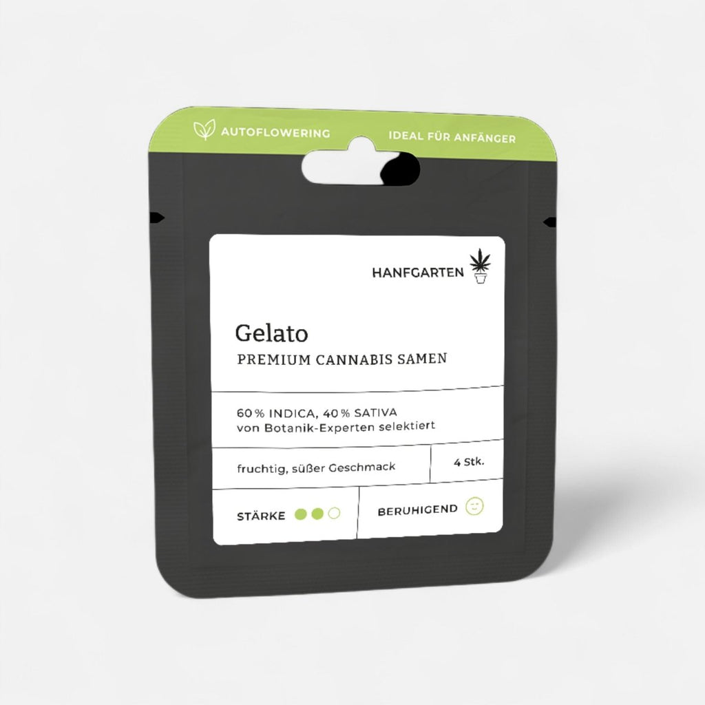 Gelato | Autoflowering - Cannabissamen - Hanfify®