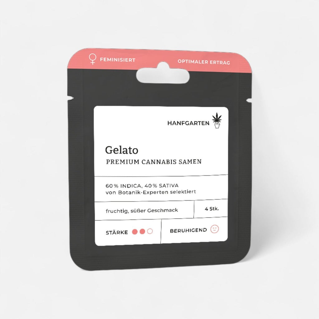 Gelato | Feminisiert Cannabissamen - Hanfify