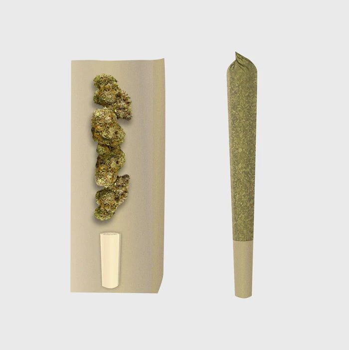 🍦 Gelato Prerolls - POWER LVL: 4/5 Joints 3er Pack - Hanfify®