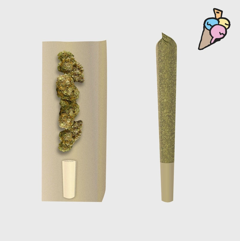 🍦 Gelato Prerolls - POWER LVL: 4/5 Joints 3er Pack - Hanfify®