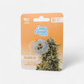 Gelato THC-Seeds - Cannabissamen - Hanfify®