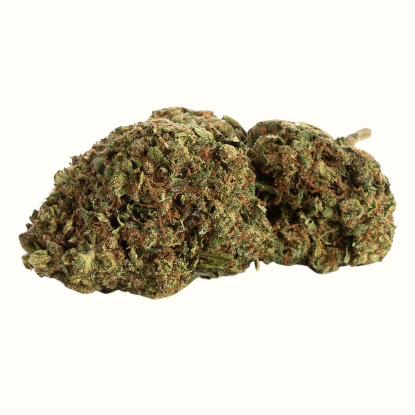 GELATO x 10 - HC 40% Blüten 3G - Hanfify