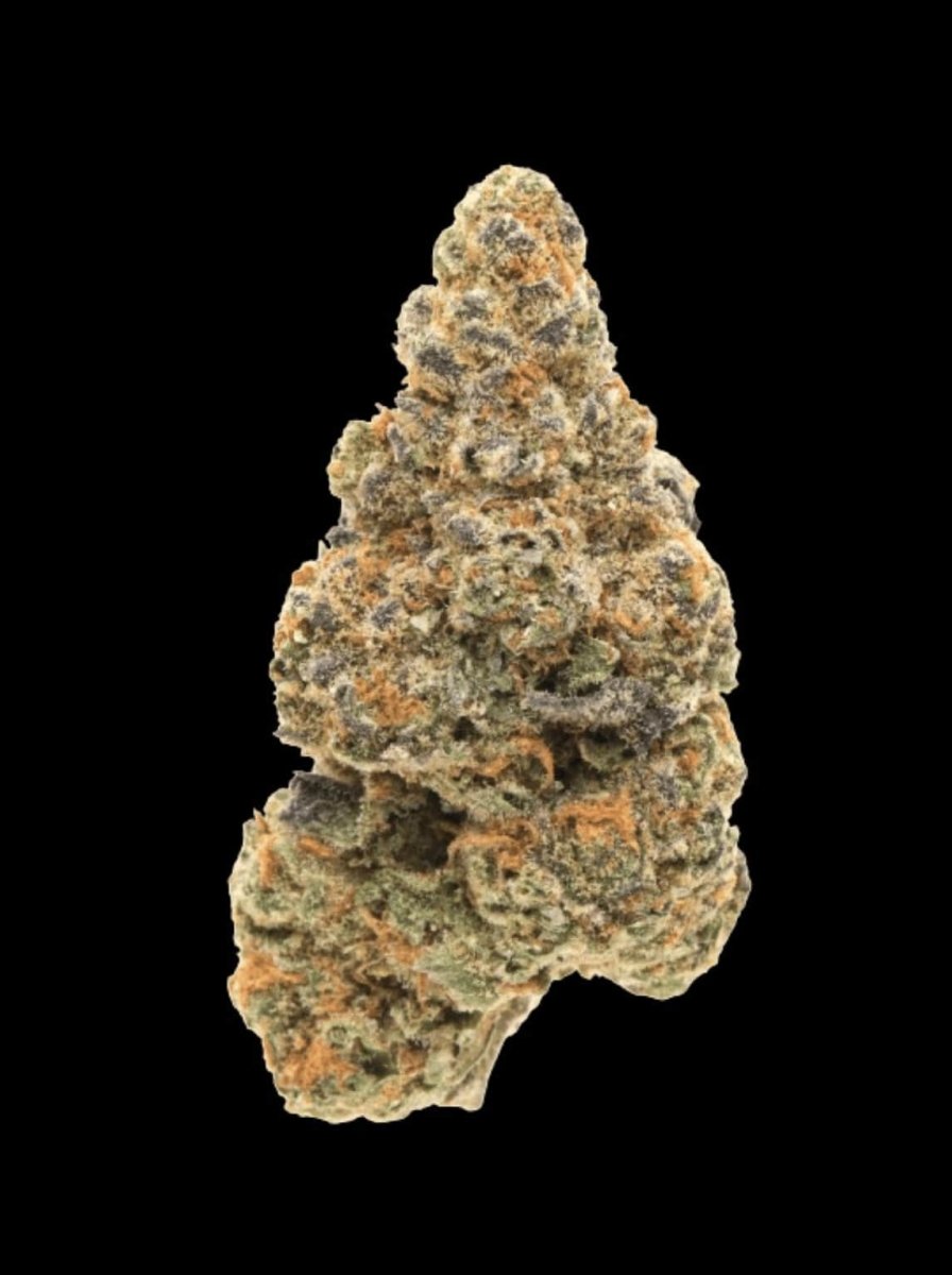 Girl Scout Cookies Hanfpflanzen - Hanfify