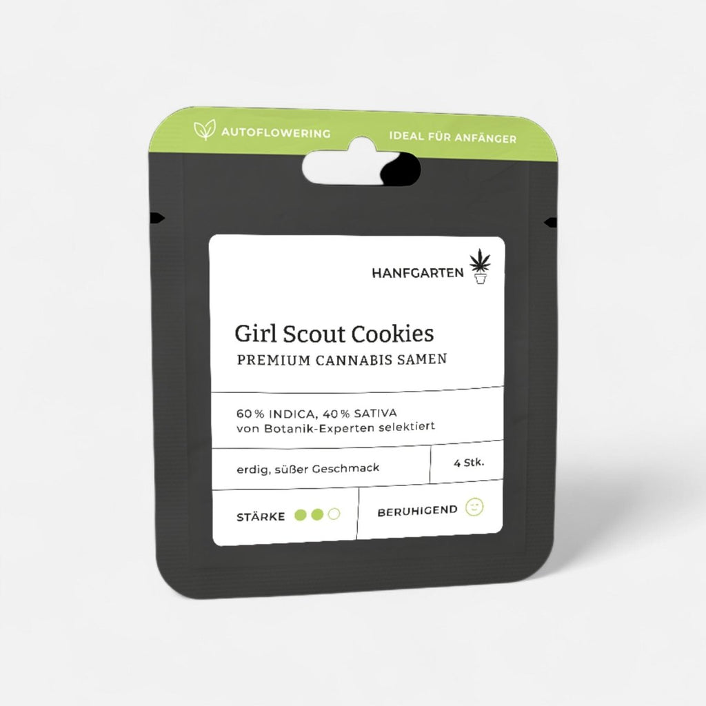 Girl Scout Cookies | Autoflowering - Cannabissamen - Hanfify®