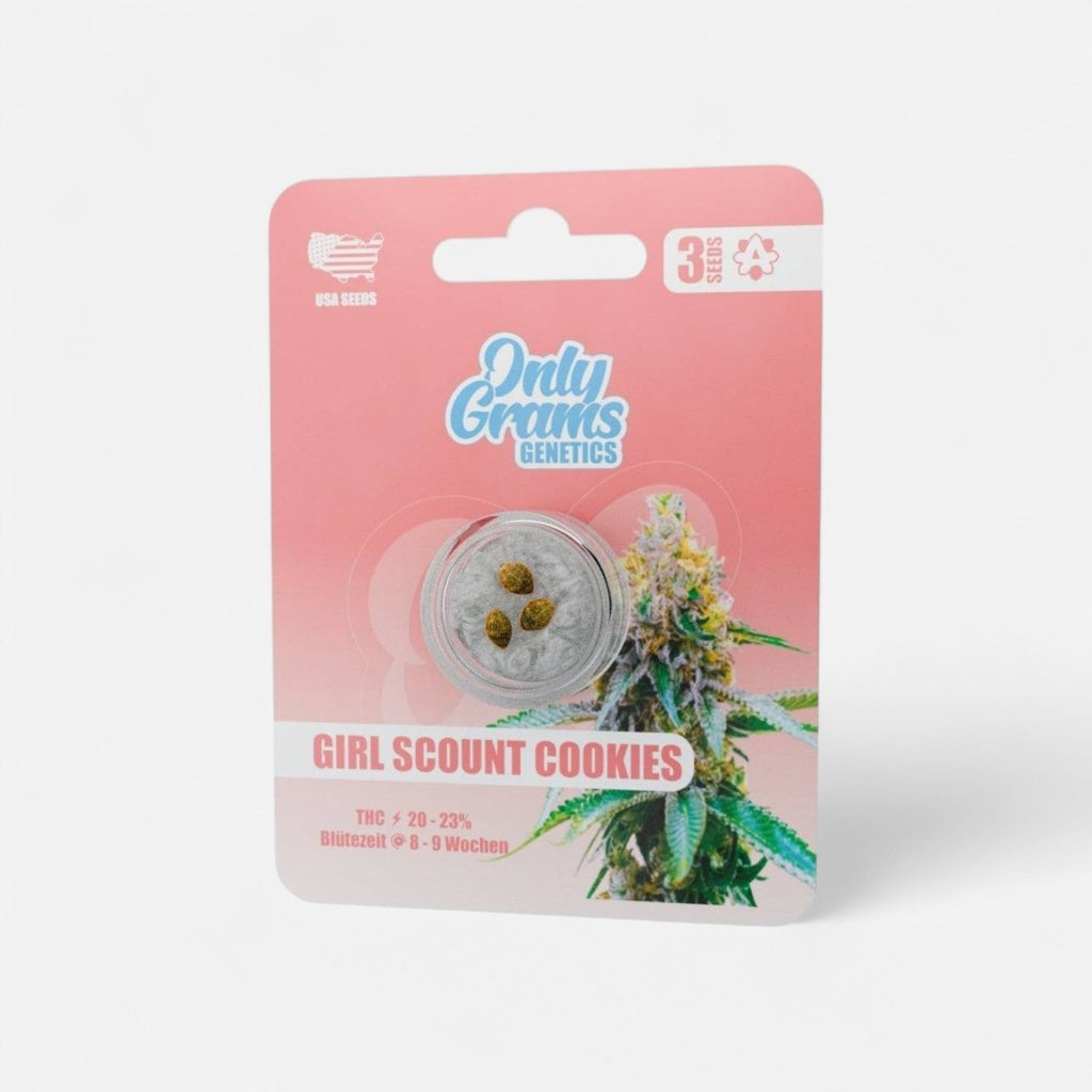 Girl Scout Cookies – THC - Seeds Cannabissamen - Hanfify