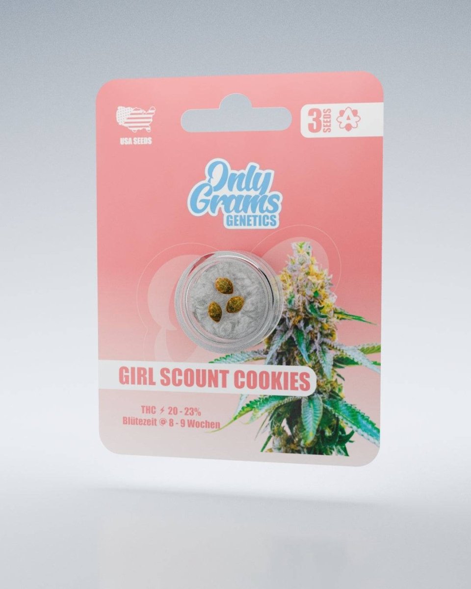 Girl Scout Cookies – THC - Seeds Cannabissamen - Hanfify