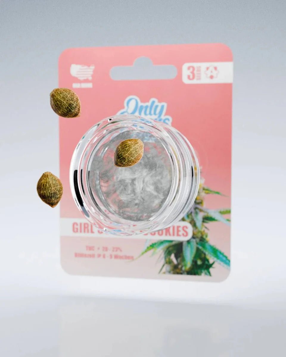 Girl Scout Cookies – THC-Seeds - Cannabissamen - Hanfify®