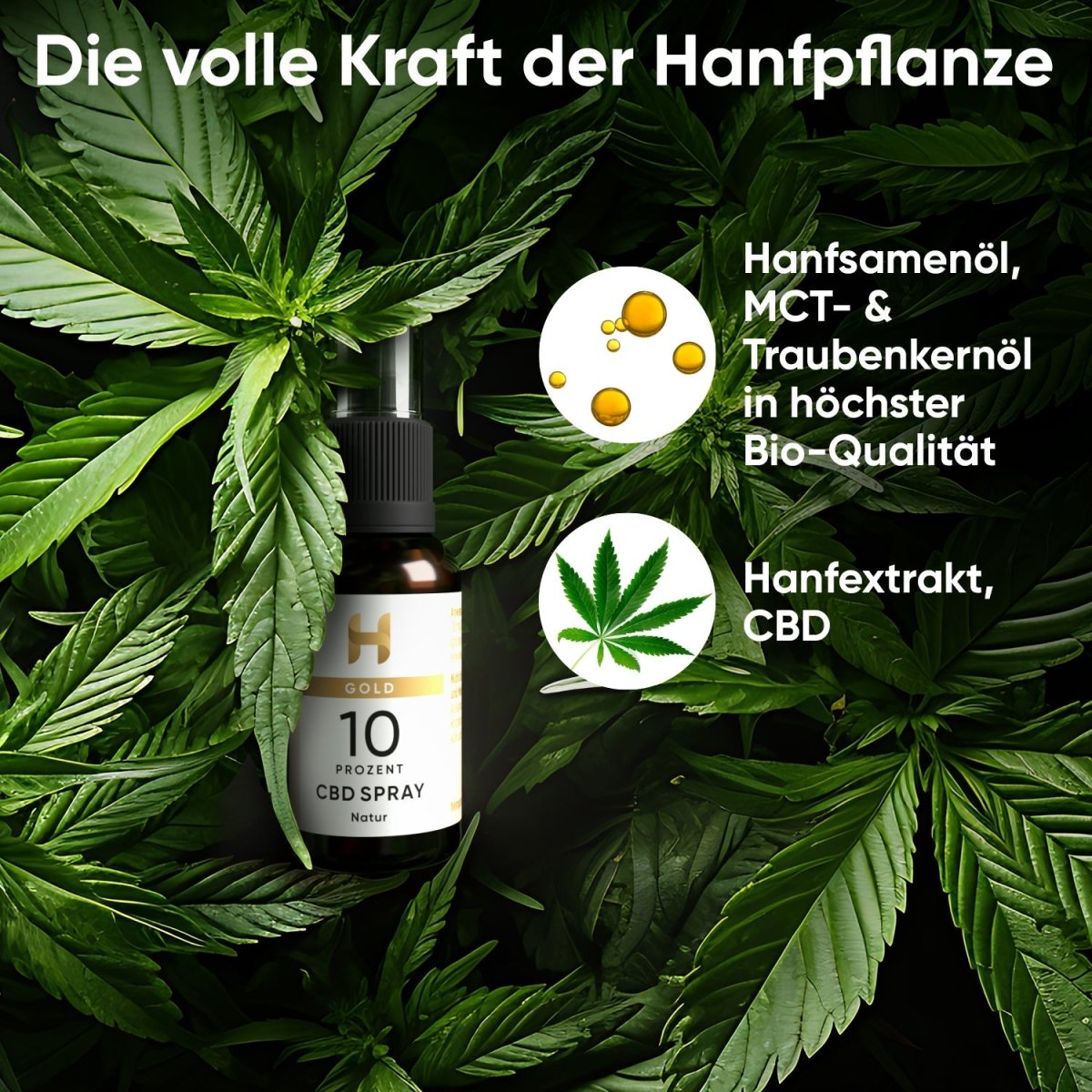 Gold CBD Mundspray 10 % Öl - Hanfify®