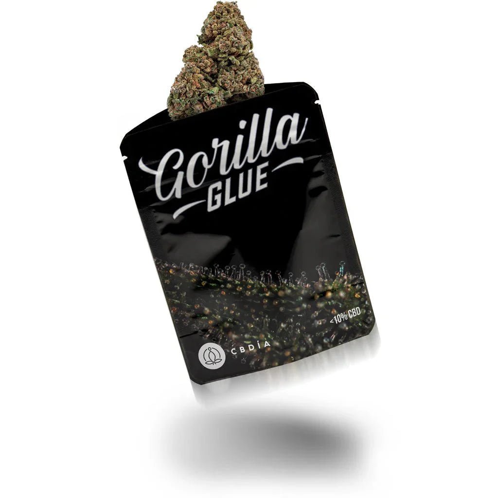 Gorilla Glue - Blüten - Hanfify®