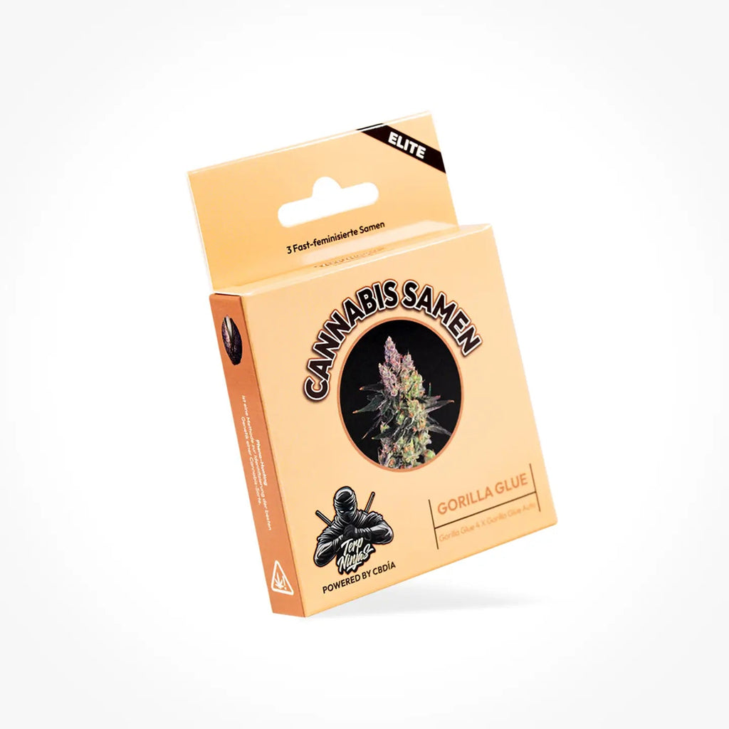 Gorilla Glue Samen Feminisiert Fast Cannabissamen 3 Stück - Hanfify