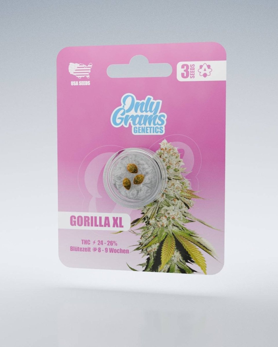 Gorilla XL THC - Seeds Cannabissamen - Hanfify
