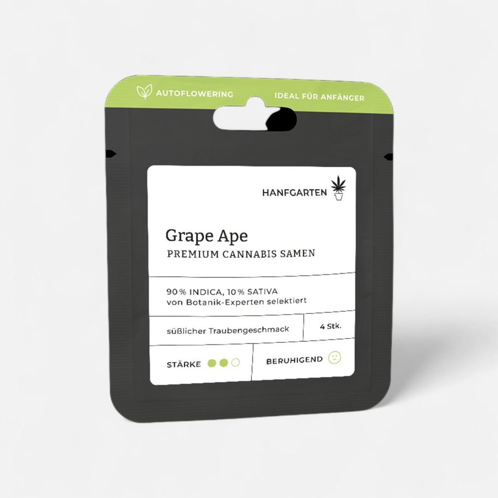 Grape Ape | Autoflowering - Cannabissamen - Hanfify®