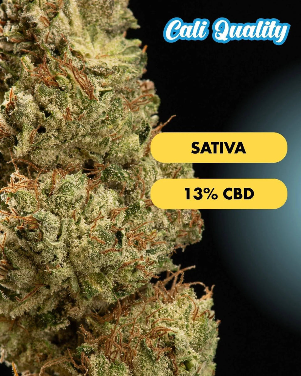 Grapefruit Punch - CBD Blüte 13% Blüten - Hanfify