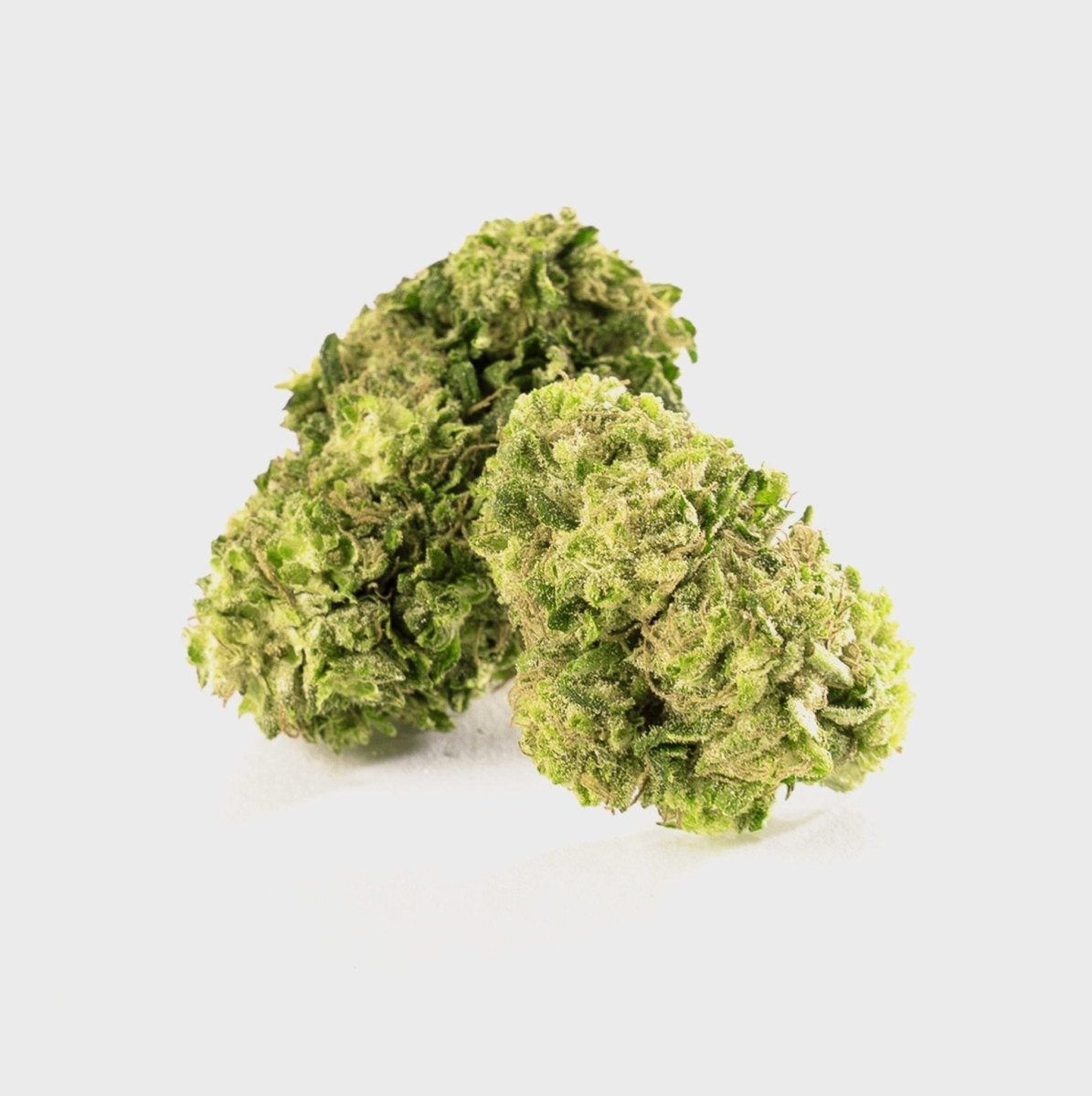 ☘️ Green Chill Zone 12% CBG by Marvin Game Blüten 3g Dose - Hanfify®