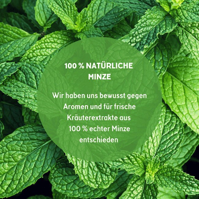 Green Chill Zone CBG - Minz Öl 10% 10ml CBD - Hanfify®