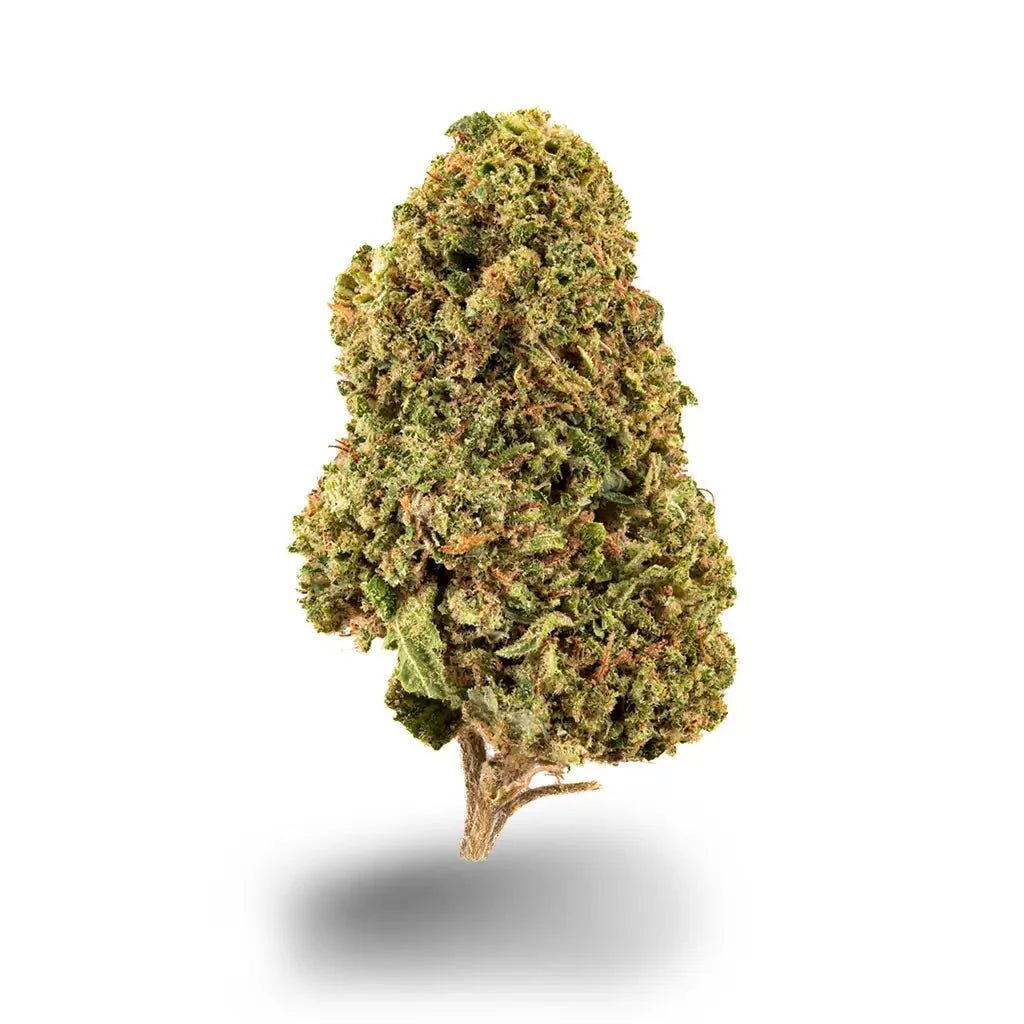 Green Pistachio - Blüten - Hanfify®