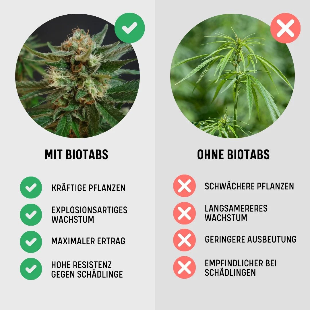 Grow Starter Kit / Dünger + 3*3 Samen Growshop - Hanfify®