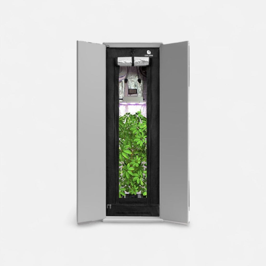 Growbox Komplettset Readymade Growshop - Hanfify