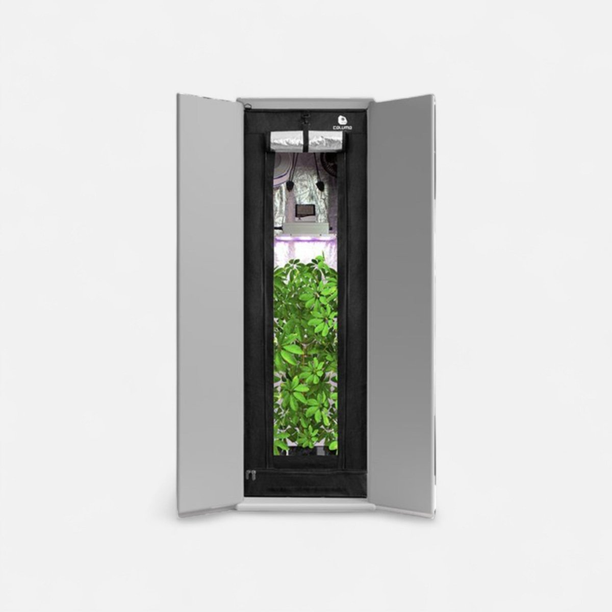 Growbox Komplettset Readymade Growshop - Hanfify