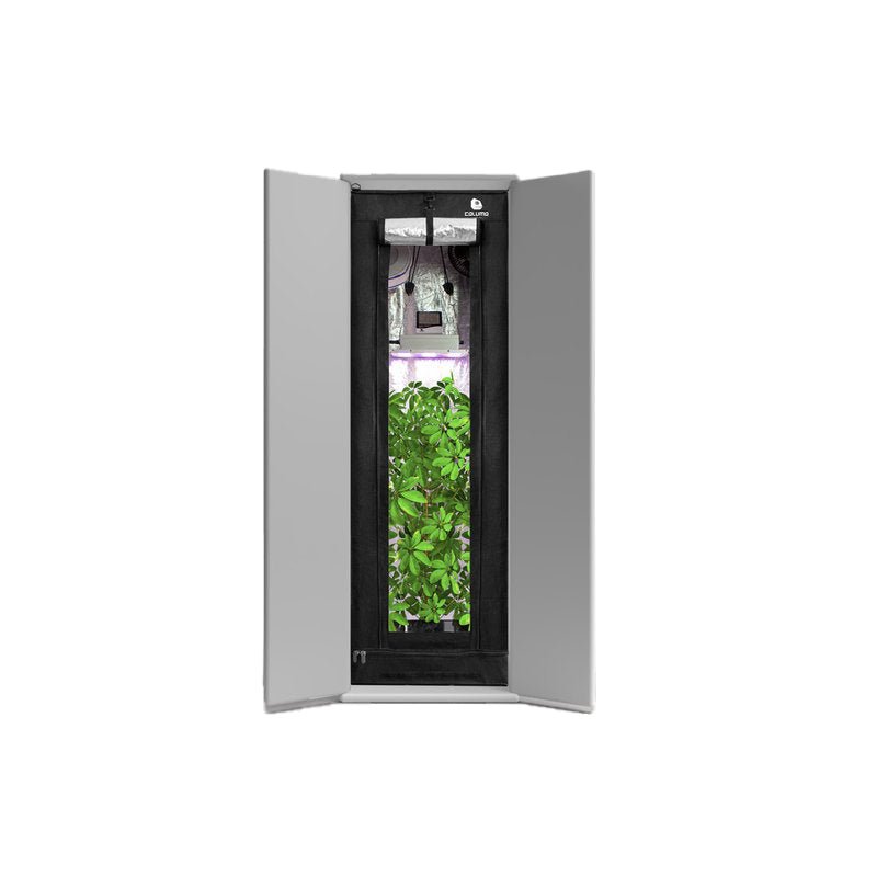 Growbox Komplettset Readymade Growshop - Hanfify