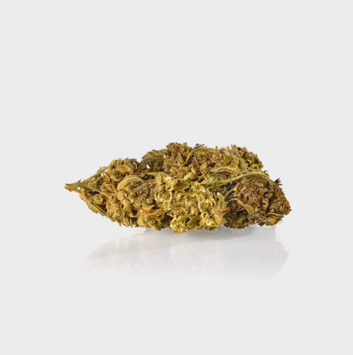 Guerillas Gusto Blüten 20g - Hanfify®