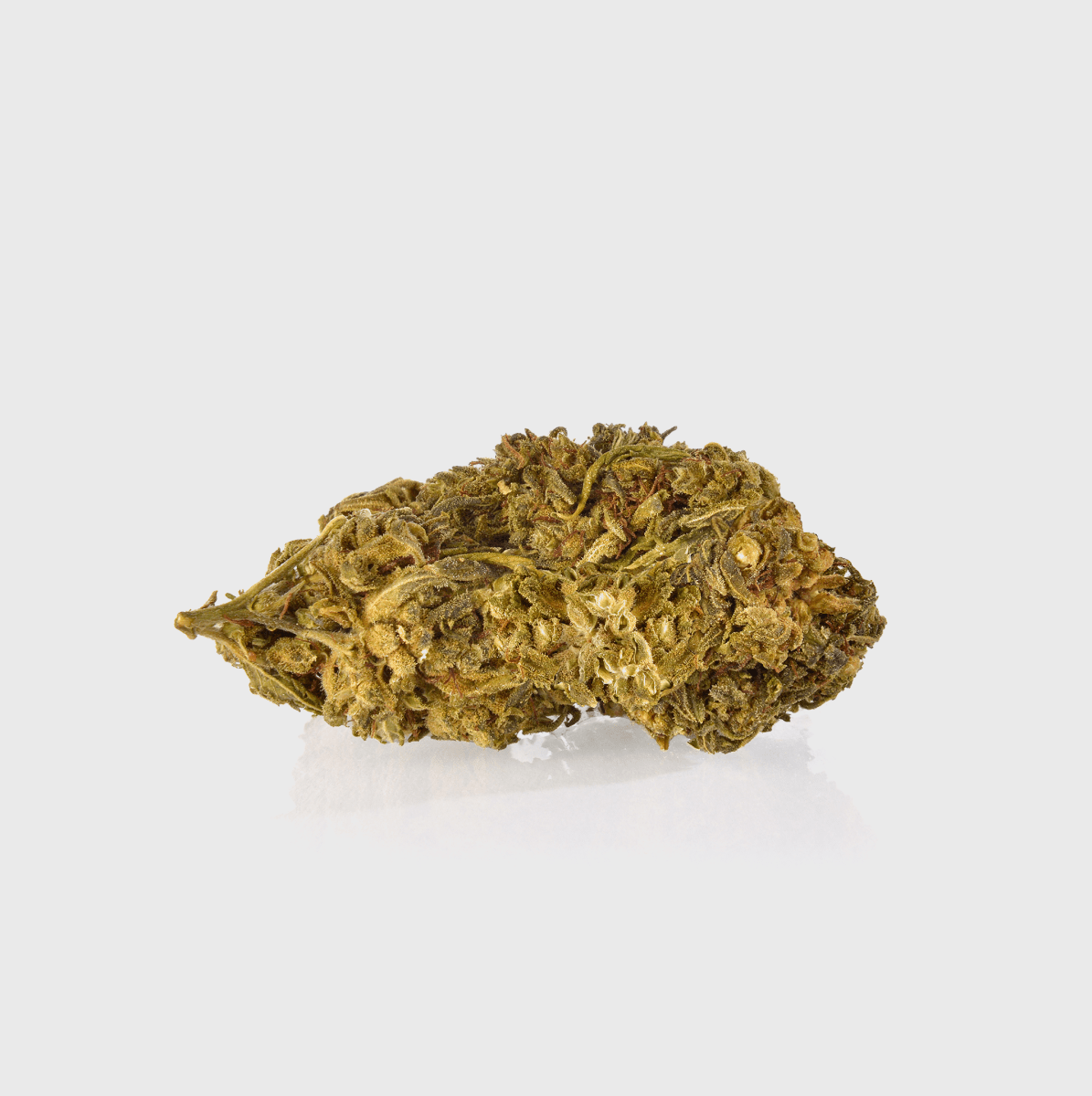 Guerillas Gusto Blüten 20g - Hanfify®