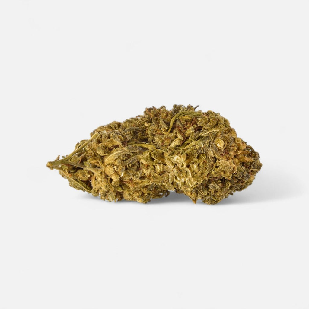 Guerillas Gusto Blüten 5g Superior - Hanfify