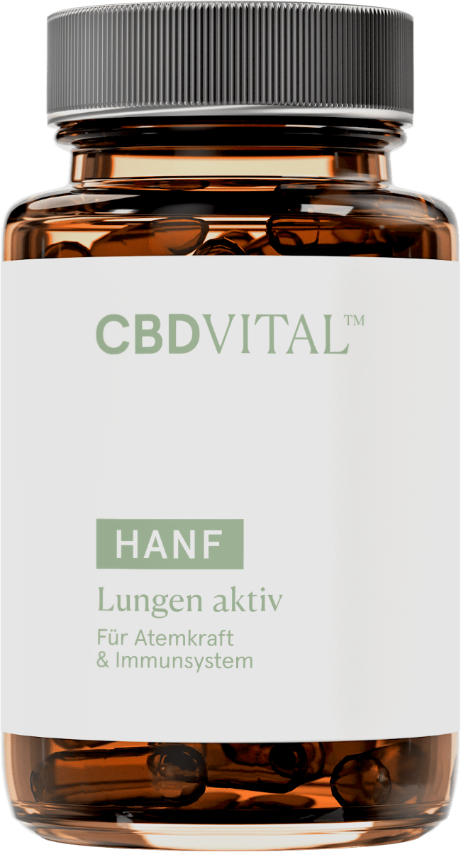 Hanf Lungen aktiv Edibles 60 Kapseln - Hanfify