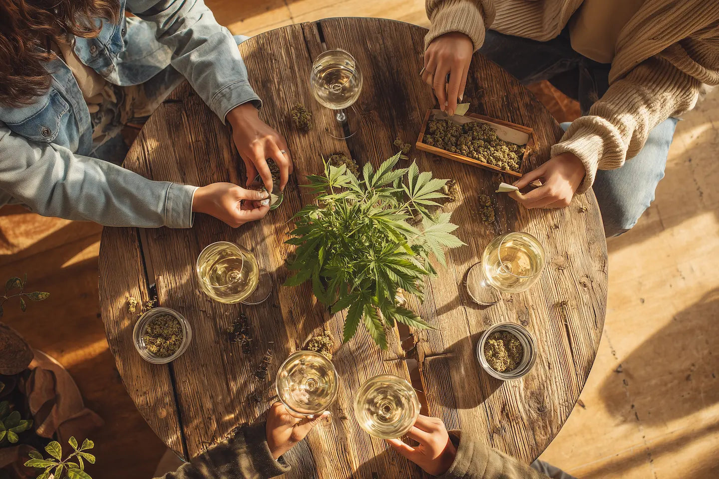 3 Frauen an einem Tisch mit verschiedenen Cannabisprodukten