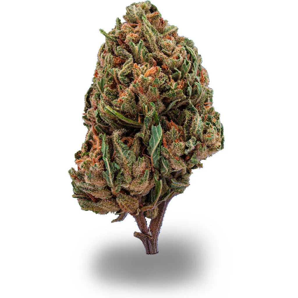 Hazelnut Cookies Blüten 2,5g - Hanfify