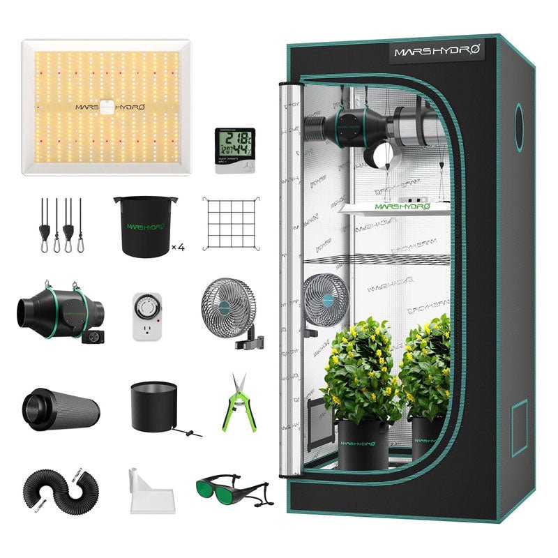 Indoor - Anbau Rundum Sorglos Paket Hanfpflanzen - Hanfify