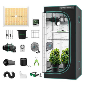 Indoor - Anbau Rundum Sorglos Paket Hanfpflanzen - Hanfify