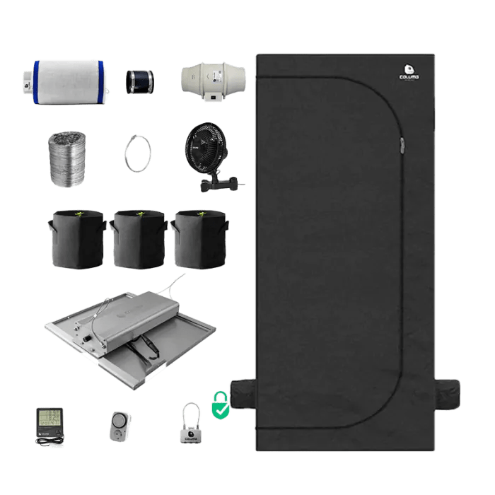 Indoor - Anbau Rundum Sorglos Paket | Pflanzen Hanfpflanzen - Hanfify