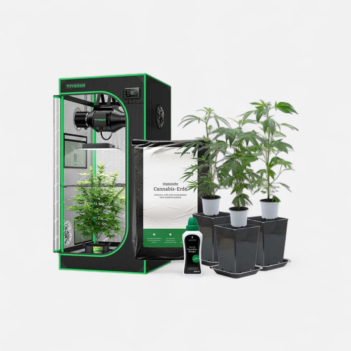 Indoor - Anbau Rundum Sorglos Paket | Pflanzen Hanfpflanzen - Hanfify