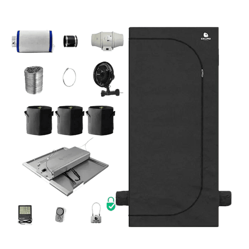 Indoor-Anbau Rundum Sorglos Paket | Pflanzen - Hanfstecklinge - Hanfify®