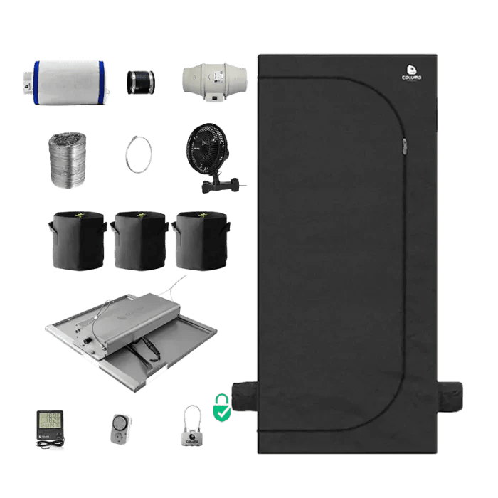 Indoor-Anbau Rundum Sorglos Paket | Stecklinge - Hanfstecklinge - Hanfify®
