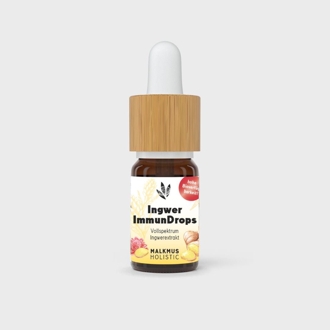 Ingwer ImmunDrops: Die hochkonzentrierte Kraft der Ingwerwurzel Smartshop 10 ml - Hanfify®