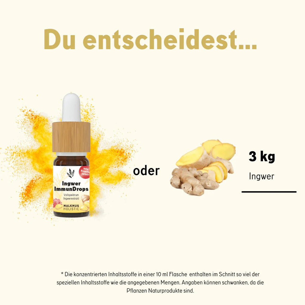 Ingwer ImmunDrops: Die hochkonzentrierte Kraft der Ingwerwurzel Smartshop 10 ml - Hanfify®