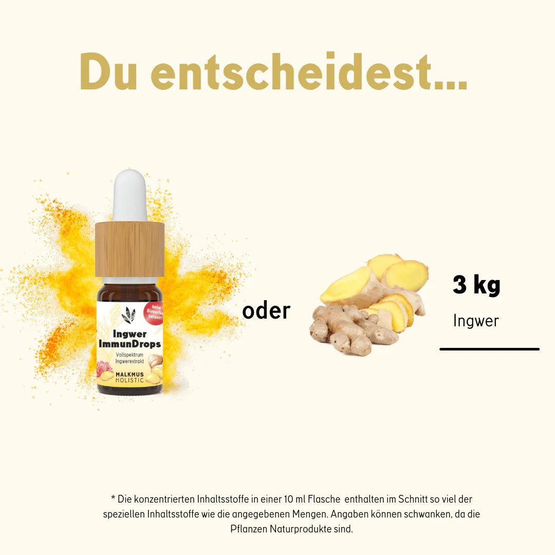 Ingwer ImmunDrops: Die hochkonzentrierte Kraft der Ingwerwurzel Smartshop 10 ml - Hanfify®