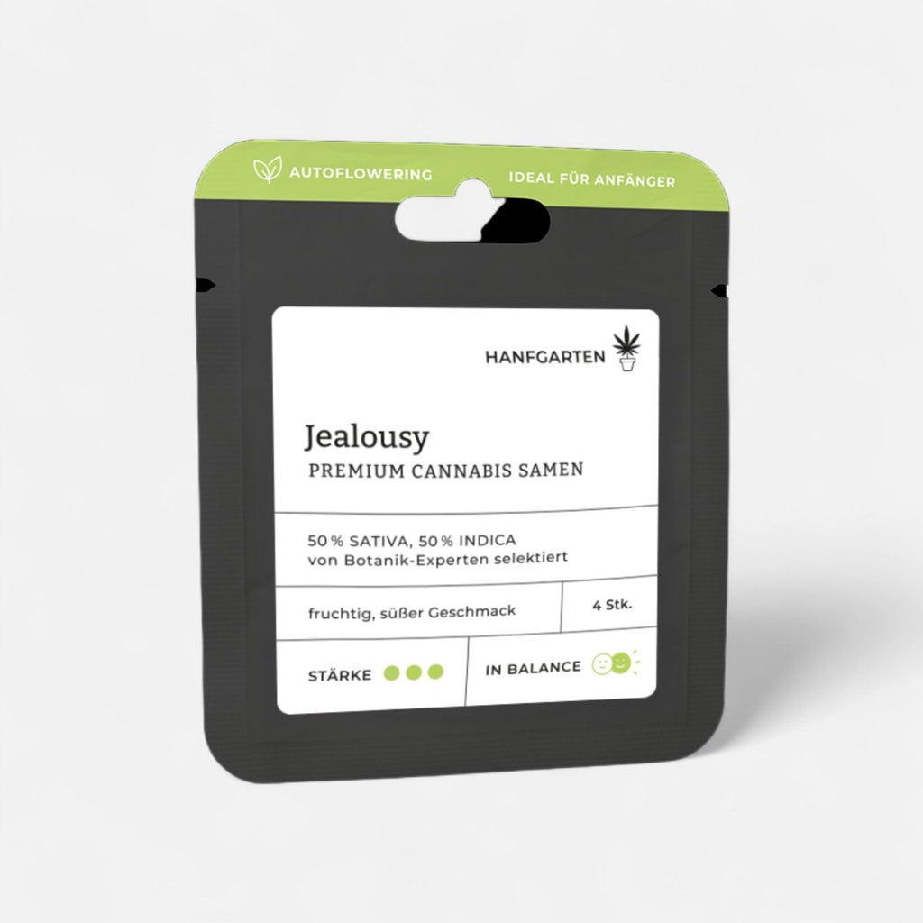 Jealousy | Autoflowering Cannabissamen - Hanfify